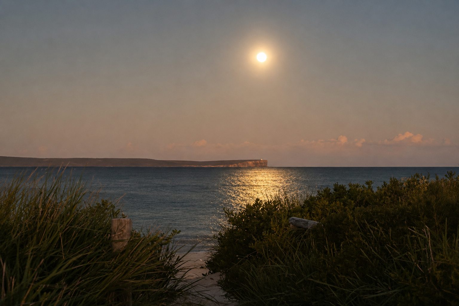 A full moon rising over the ocean at dusk, seen through beach grass
